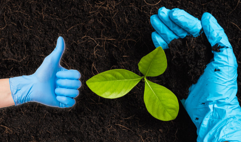 Sustainability in Healthcare: How ZP Mediheal is leading the Way with Eco-Friendly Gloves